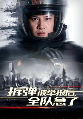 翼年代记:梦之翼